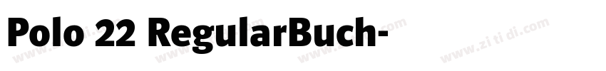 Polo 22 RegularBuch字体转换 Polo 22 RegularBuch字体转换